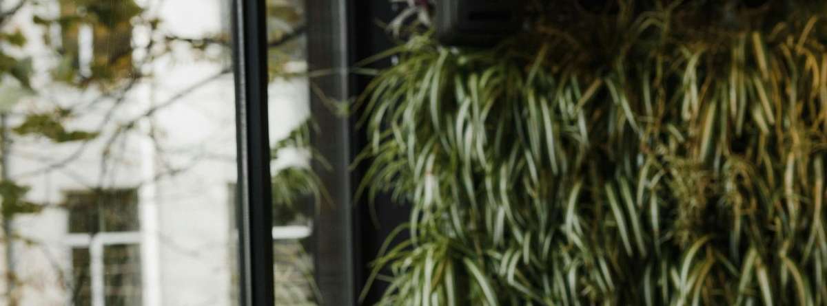 S2S Medical Billing Co. — Contact Jennifer